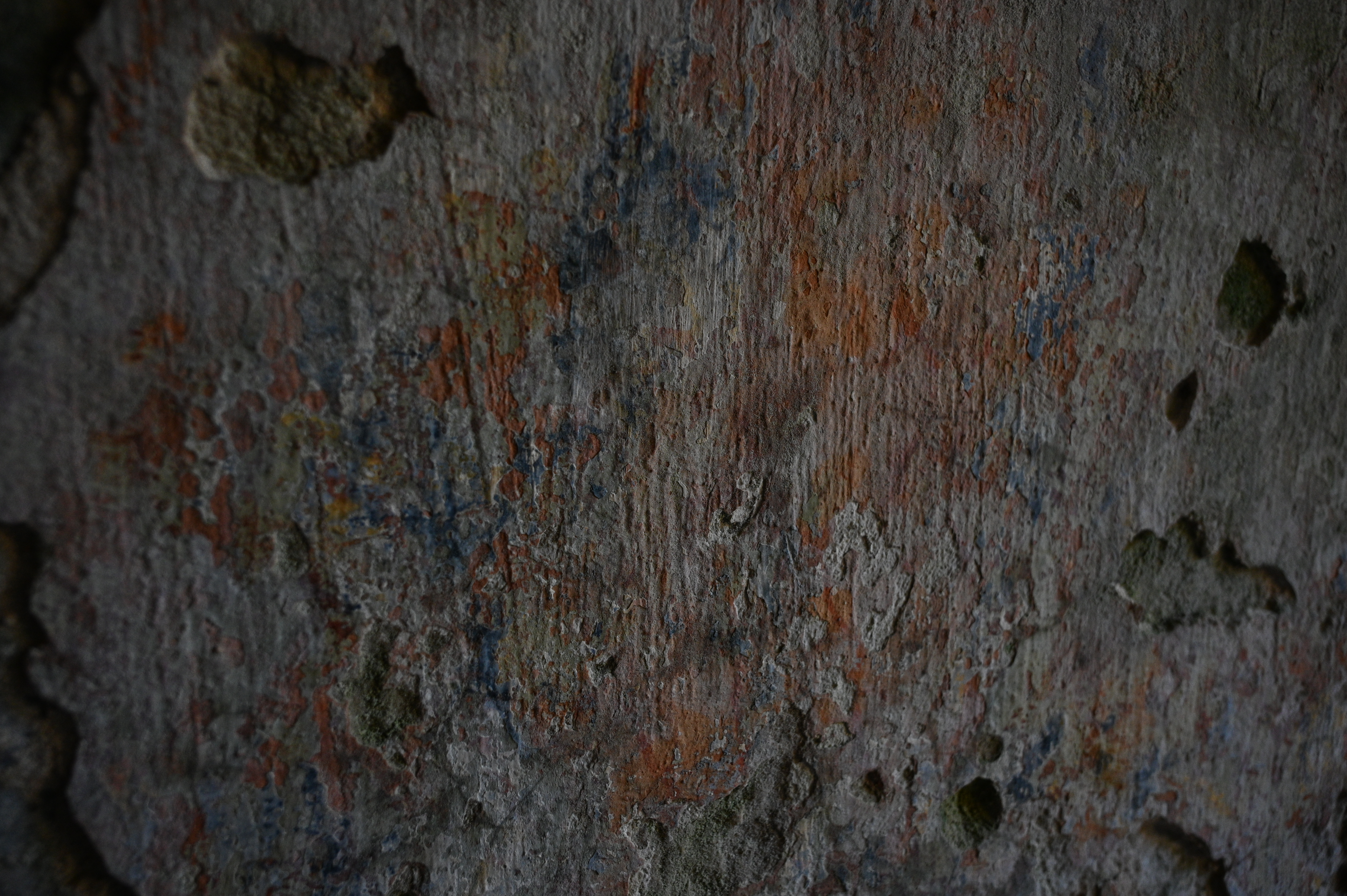 2025/10/18 - walk/DSC_0030.JPG